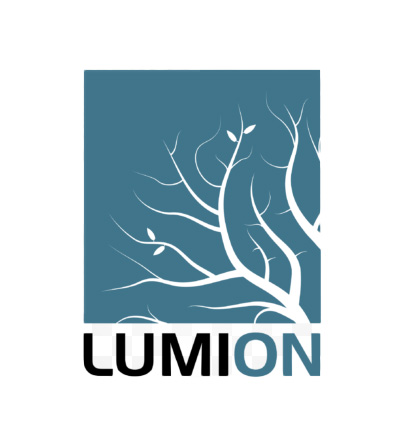 logo programa lumion za uslugu instalacije lumiona